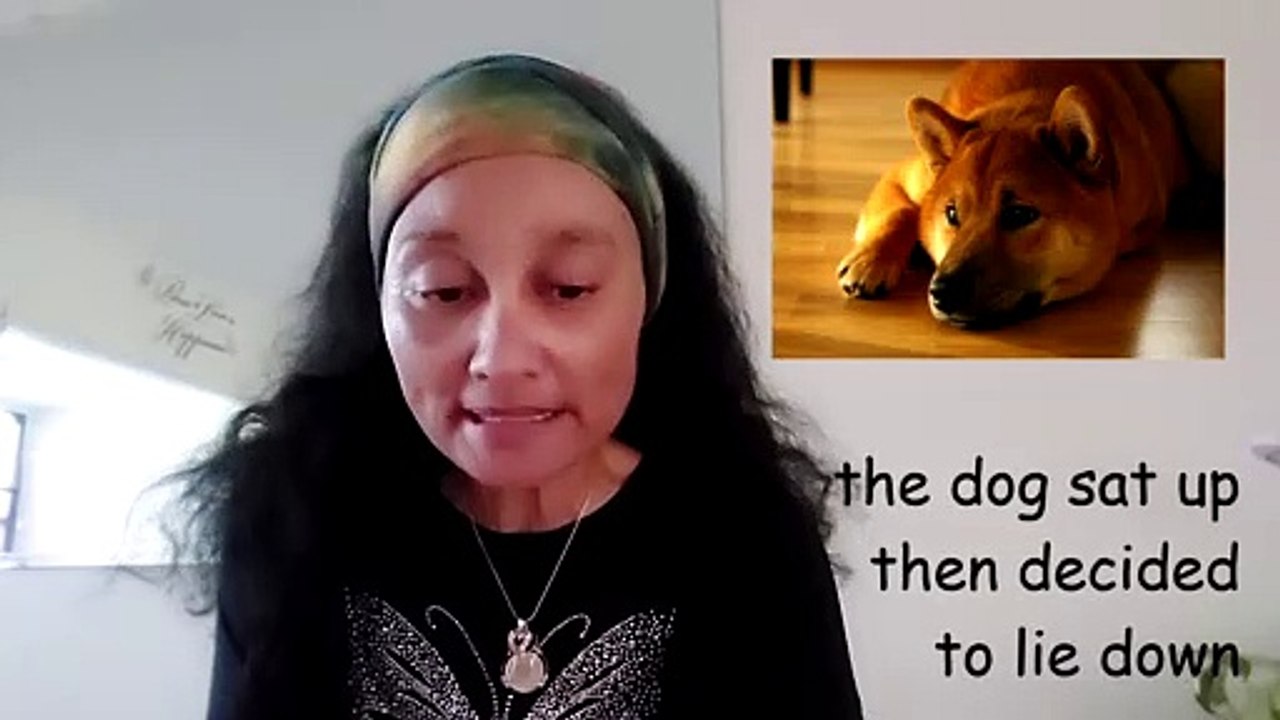 Project Difference between Lie & Lay