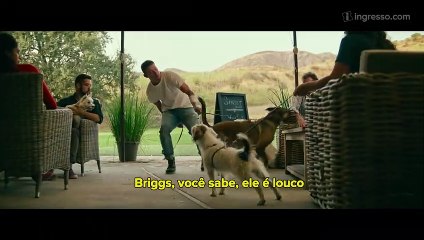 DOG - A Aventura de Uma Vida | Conteúdo Especial | HOJE NOS CINEMAS