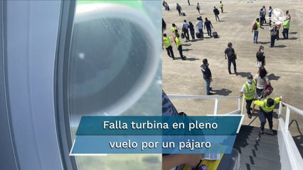 Pájaro choca contra turbina y provoca aterrizaje de emergencia