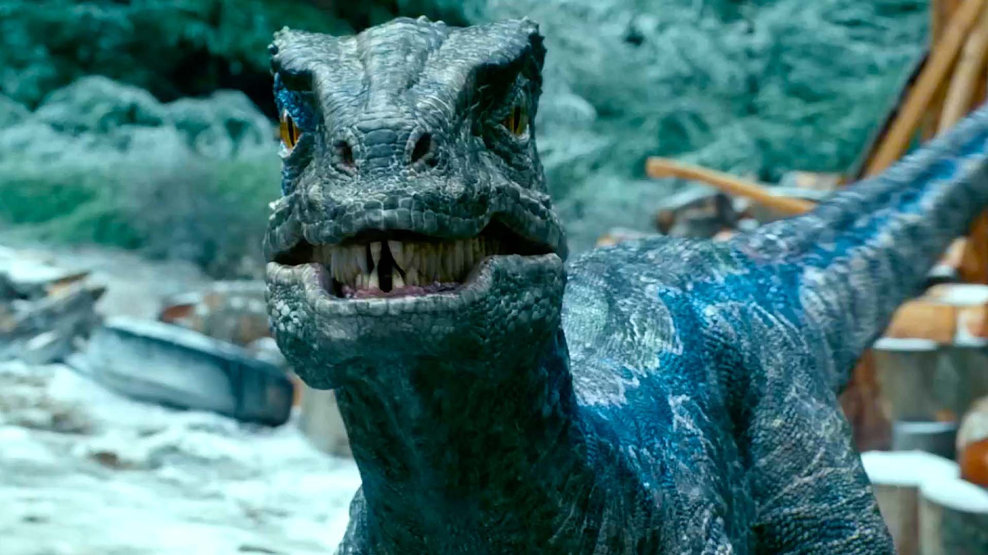 Jurassic World: Fallen Kingdom in 4K Ultra HD (Chris Pratt), Reunited With  Blue