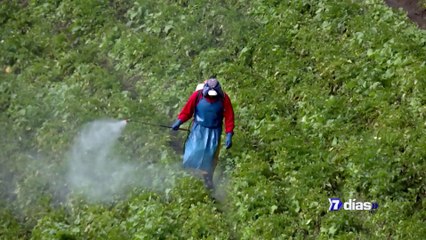 7dias-Adictos-a-los-plaguicidas-230522