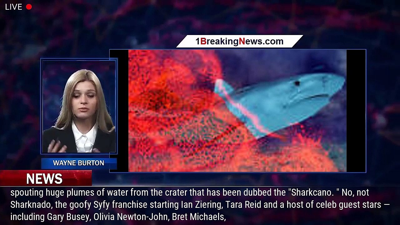 'Sharkcano,' Active Pacific Ocean Volcano Where Sharks Live in Acidic