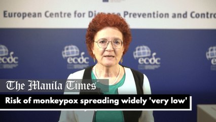 Risk of monkeypox spreading widely 'very low'