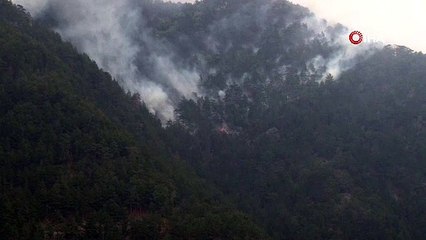 Antalyada dün başlayan yangın bugün kontrol altına alındı