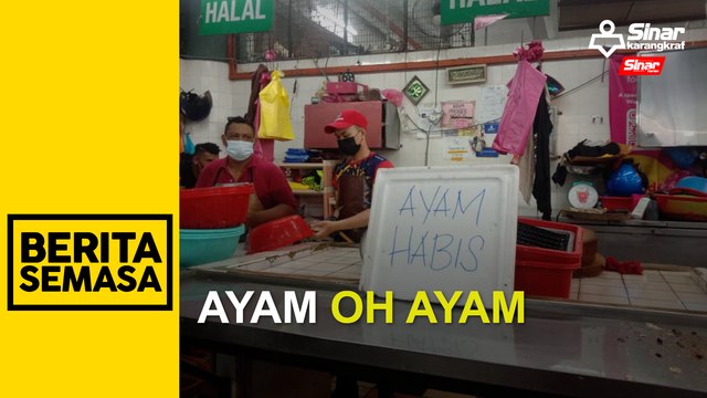 Isu bekalan ayam: Persatuan penternak enggan mengulas