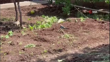 Dayakçı kocasını keser sapıyla dövüp bıçakladı
