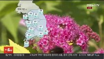 [날씨] 내일도 여름 더위 계속…늦은 밤 중부 비