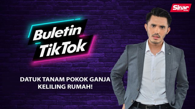 Datuk tanam pokok ganja keliling rumah!