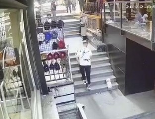 KÖPEK VE SAHİBİNİ KORKUTAN KEDİ SALDIRISI