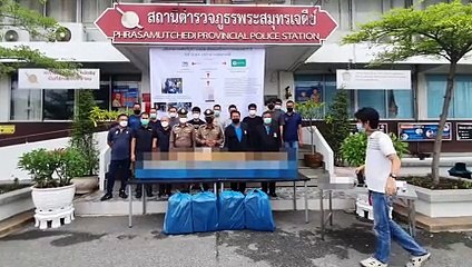 ตำรวจพระสมุทรเจดีย์โชว์ผลงานจับขบวนการค้ากัญชา ข้ามชาติยึดของกลางกว่า 200 กิโลกรัม