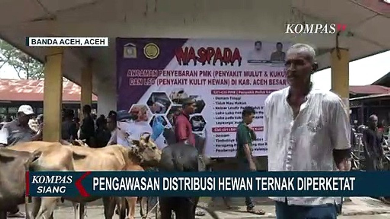 Polda Aceh Antisipasi Penyebaran PMK Ternak, Pos Perbatasan & Akses Masuk Provinsi Dijaga Ketat!