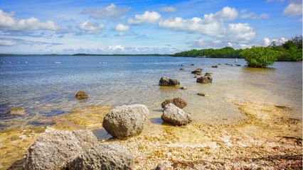 Que faire dans l'archipel des Keys de Floride