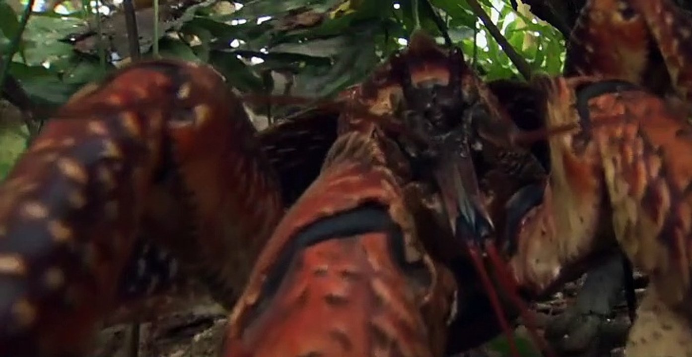 Equators Wild Secrets S01 E01