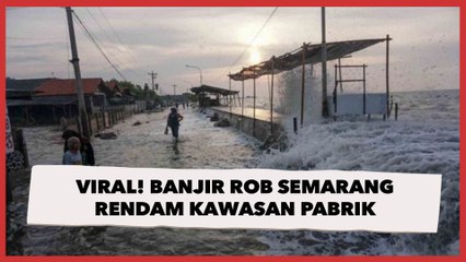 Viral! Banjir Rob Semarang Rendam Kawasan Pabrik: Warga Ramai-ramai Tuntun Sepeda Motor