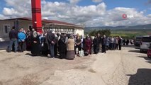 Kastamonu'da 100 bin adet sebze fidesi ücretsiz dağıtıldı