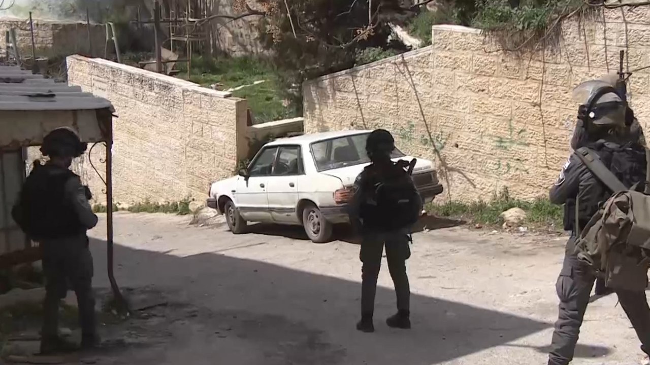 تقارير حقوقية توثق جرائم عدة لمستوطنين ضد فلسطي...