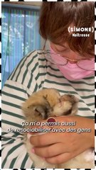 SIMONE - Pijama raconte son histoire avec Sacha, sa petite Coton de Tuléar