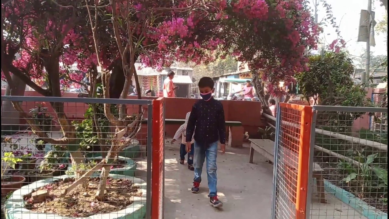 Natural Beauty of Pukhuria Village