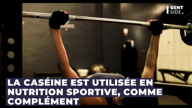 Caséine : à quoi sert cette protéine et comment faut-il l'utiliser pour la musculation ?