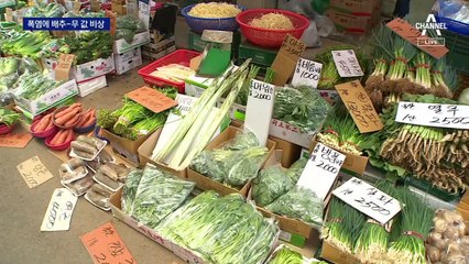 “배추·무 지금도 비싼데”…이른 더위에 더 걱정
