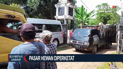 Скачать видео: Sapi Terinfeksi PMK Di Purwakarta Terus Bertambah