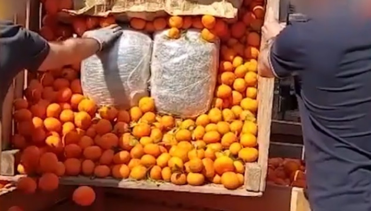 Torino - Droga tra le casse di arance, sequestrati 70 chili marijuana (24.05.22)