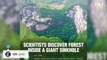 A huge sinkhole with an entire ancient forest inside discovered in this country