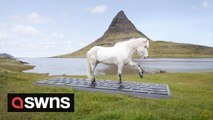 Iceland trots out service that lets HORSES reply to work emails while you're on holiday