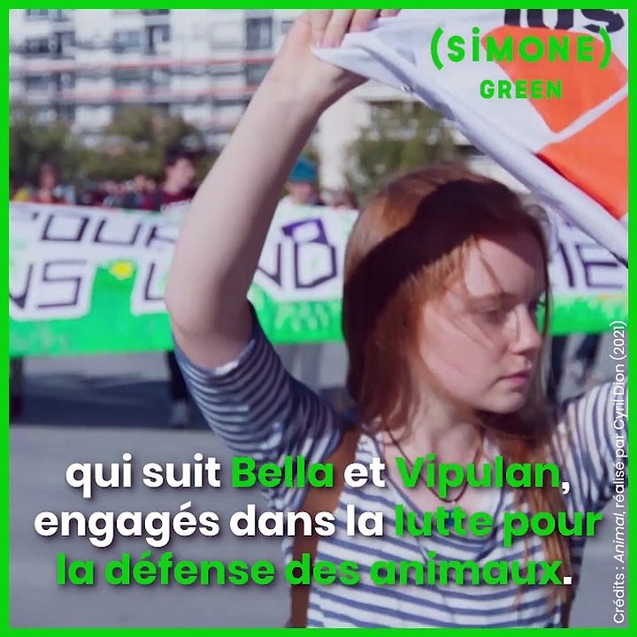 SIMONE -  GREEN : Cyril Dion parle de son documentaire « Animal »