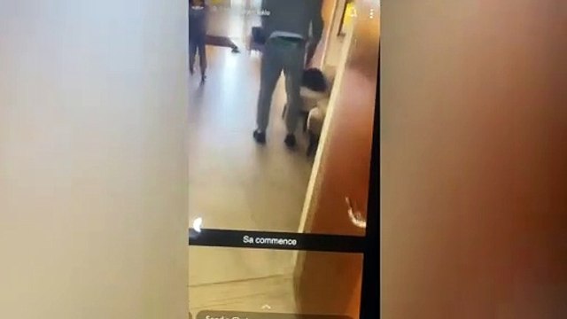 Pictures of footballer Kurt Zouma's pet cats that were taken away after footage emerged of him kicking and slapping one of the animals released by RSPCA to show they are now doing well