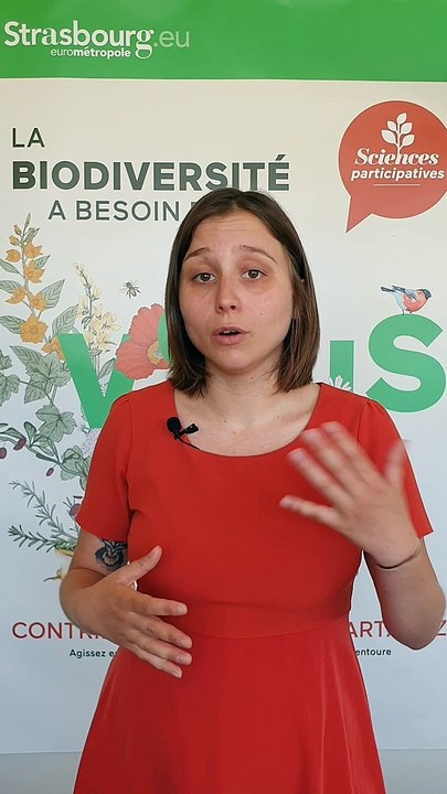 Sciences participatives : Présentation du protocole Vigie-chiro