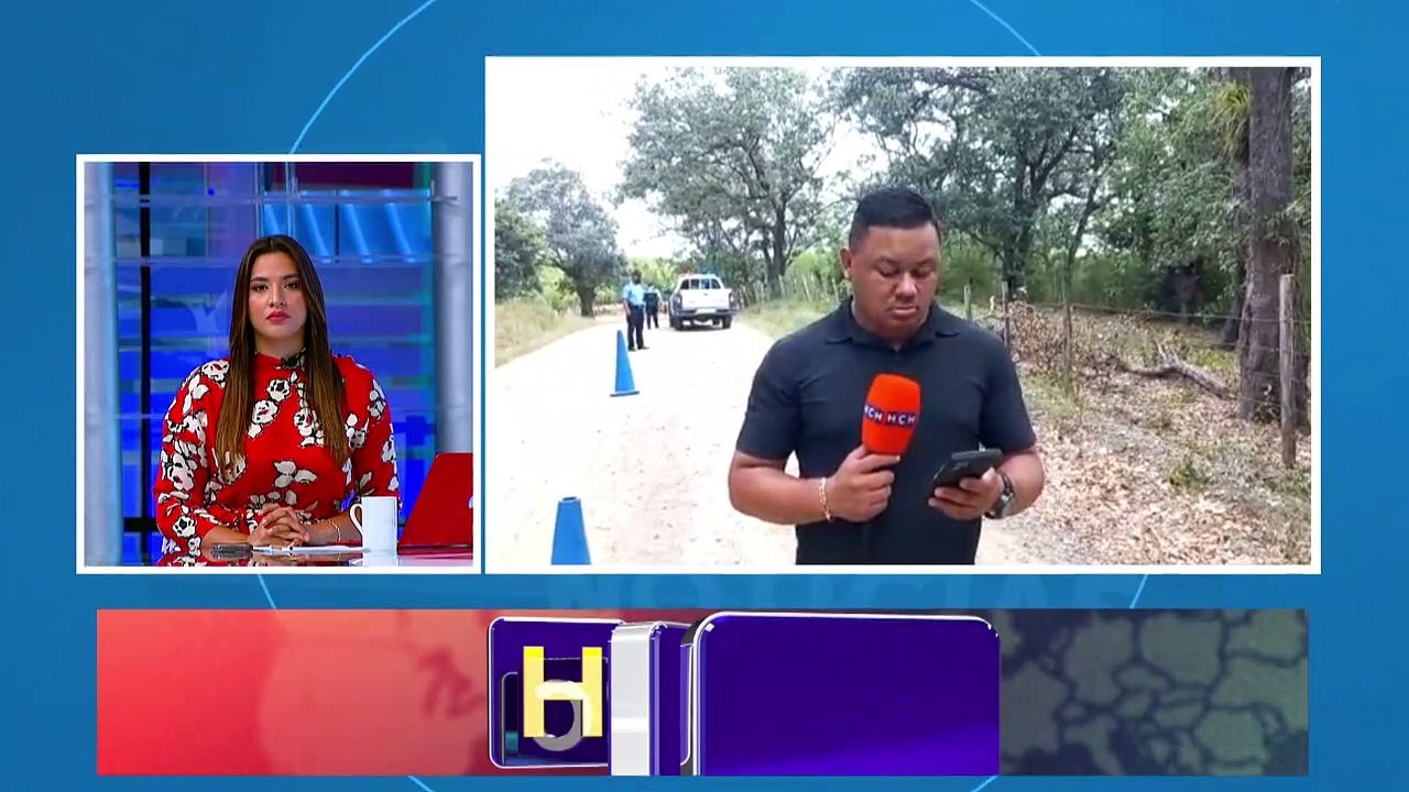 Palmeto, Roatá,