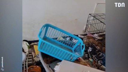 Son appartement est saccagé par ses locataires !