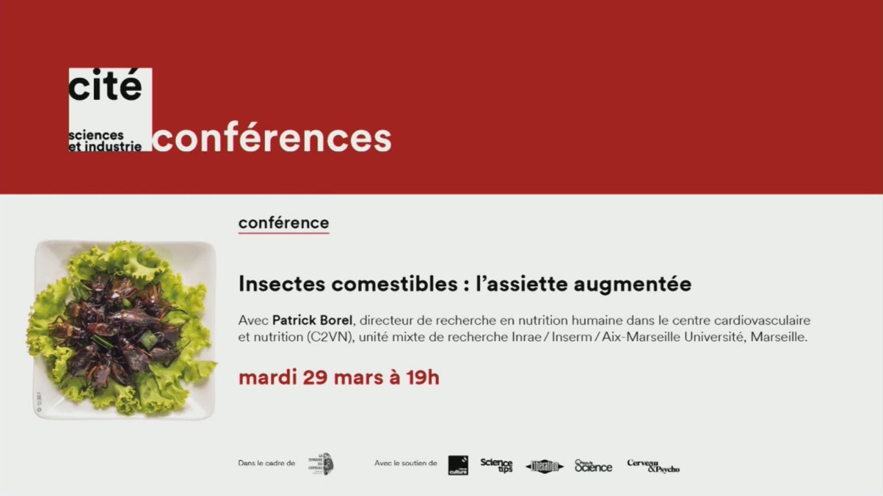 Insectes comestibles : l’assiette augmentée