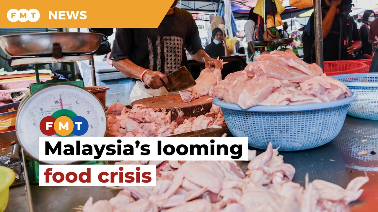 DAP slams Putrajaya’s ‘short-term’ solution to food crisis