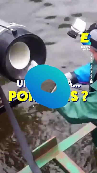 Un canon à poisson ?!