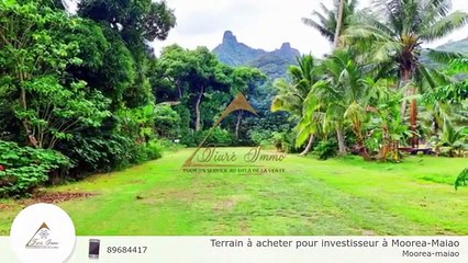 Terrain à acheter pour investisseur à Moorea-Maiao