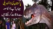 Pakistan ki Dino Valley, jaha aap Dinosaurs se mulaqaat kar saktay hain