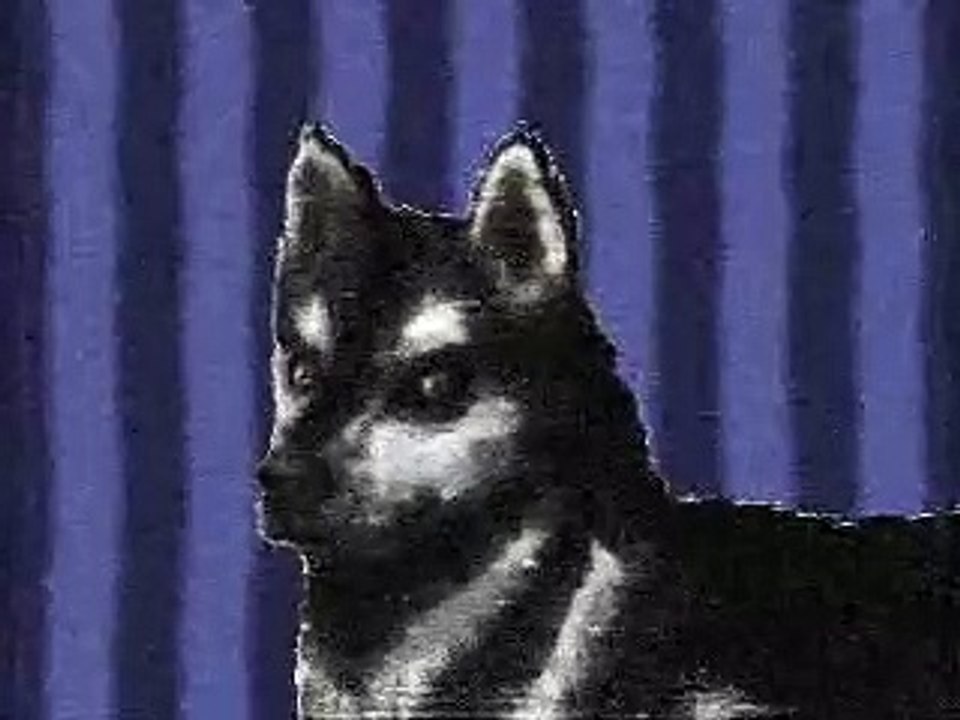 Husky Enterprises (1988, LSF2021's Custom Logo)