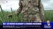 Les exportations de blé ukrainien bloquées par l'armée russe