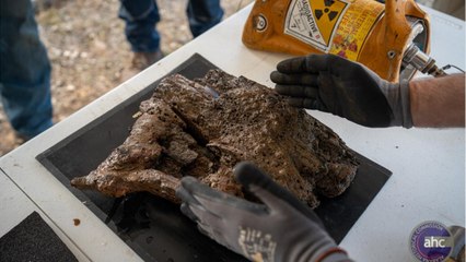 L'épave du Clotilda, dernier navire d'esclaves arrivé aux Etats-Unis, explorée en Alabama