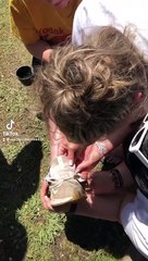 Dart Gets Stuck in the Bone