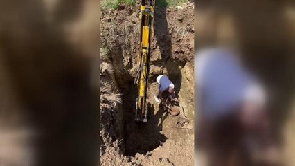 Çukura düşen köpeği vatandaş kurtardı