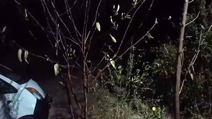 Weather News : कल से तपेगी रोहिणी, सूरज दिखाएगा तेवर