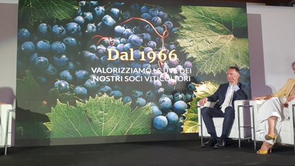 Vino, Caviro punta sulla sostenibilità