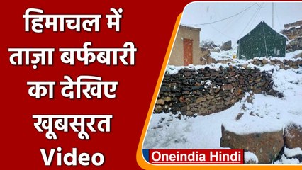 Himachal Pradesh:  Lahaul-Spiti  इलाके में ताजा बर्फबारी | #Shorts | वनइंडिया हिंदी
