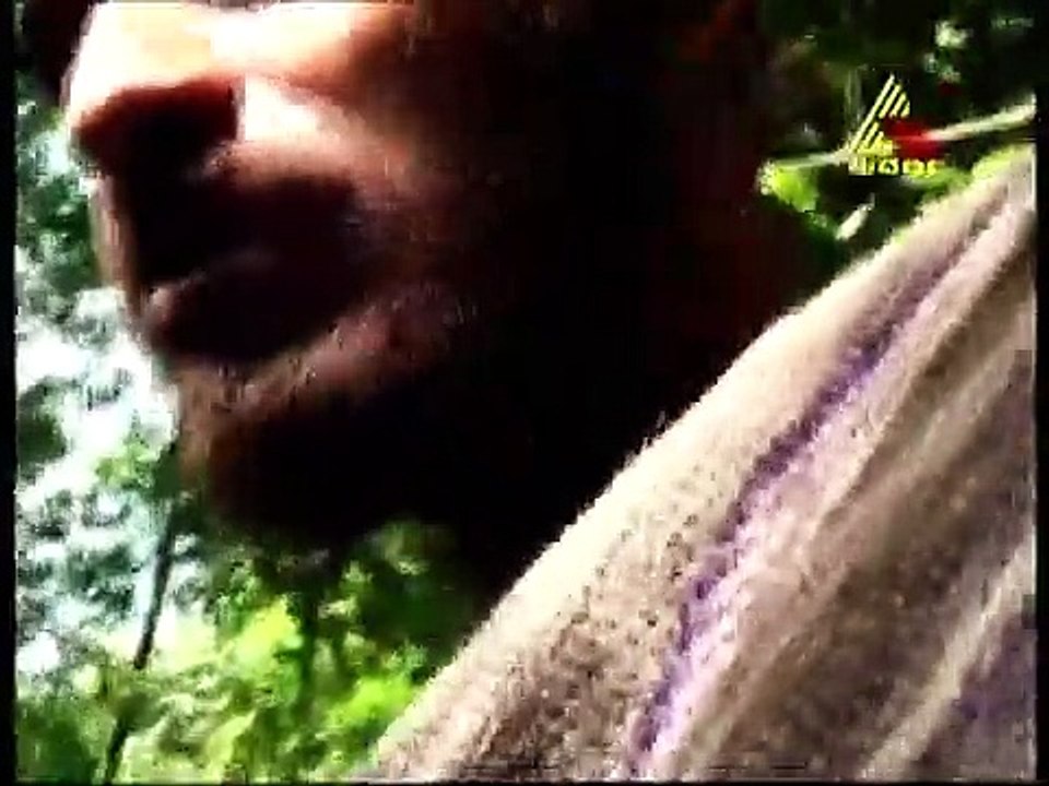 Pyate Mandi Kadige Bandru season 1 || Day 15 || Part 3 || Suvarna || Akul Balaji || Samyama Screen