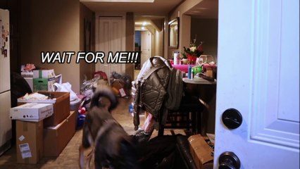 Moving into the woods!   + Bungee Jumping!