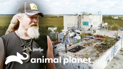 El equipo se va de caza a fábricas abandonadas | Guardianes del Pantano | Animal Planet