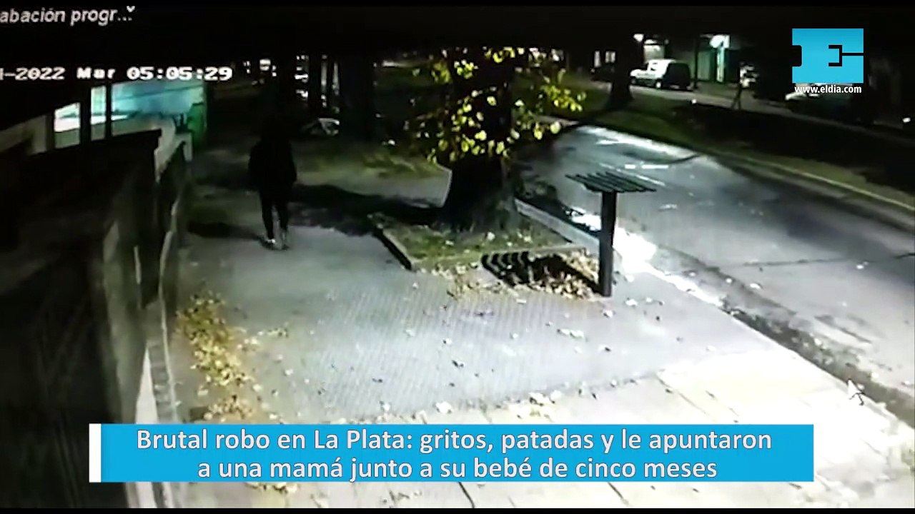 Brutal robo en La Plata: gritos, patadas y le apuntaron a una mamá junto a su bebé de cinco meses